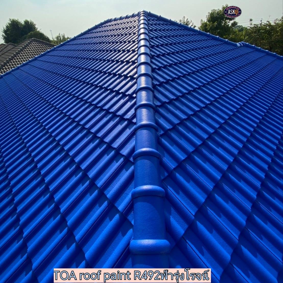 Roof Painting (พ่นสีหลังคา) : บ้านพักอาศัย สุขาภิบาล 5 กทม.